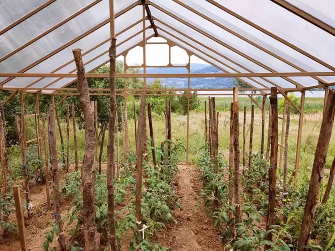 İstanbul'dan ayrılan bu kente yerleşiyor: Üzüm, ceviz, kiraz, patates hepsi yetişiyor! Ülkenin en verimli ikinci ovası burada 21